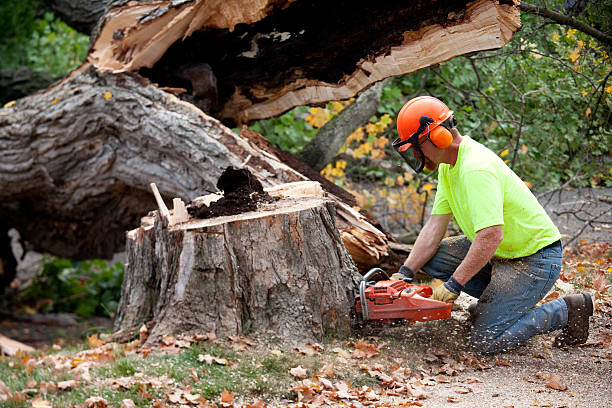 Mulching Services in Lindsay, OK